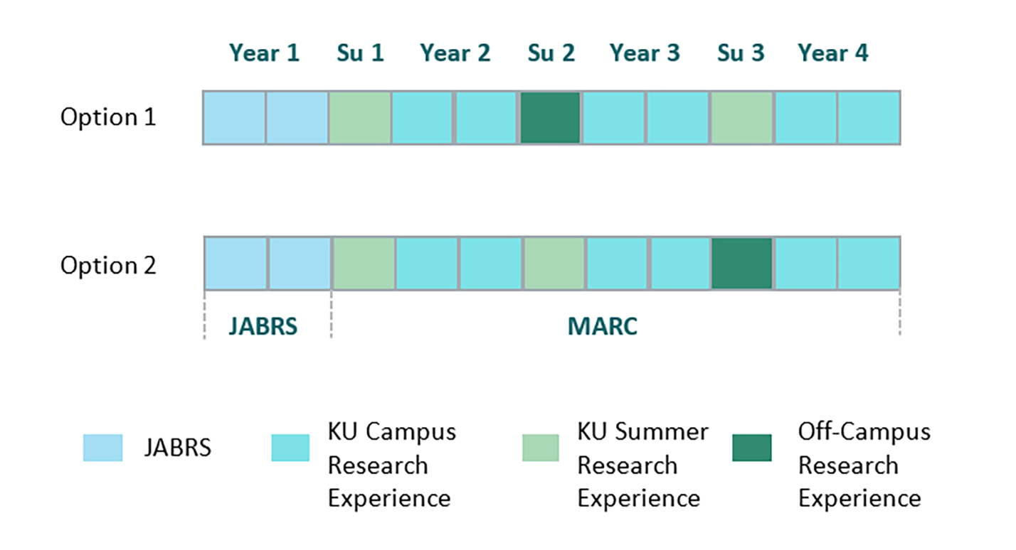 Visual representation of the MARC Timeline Options table above